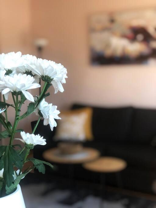 Quince Apartment-Free Parking-City Center Beograd Ngoại thất bức ảnh